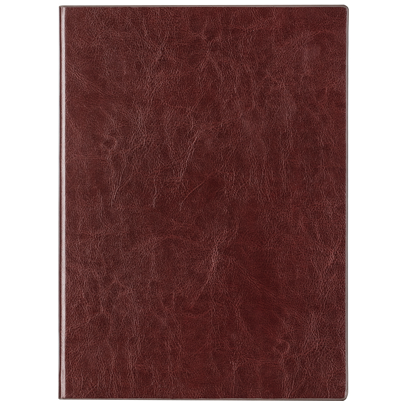 Deli-3306 Leather Cover Notebook