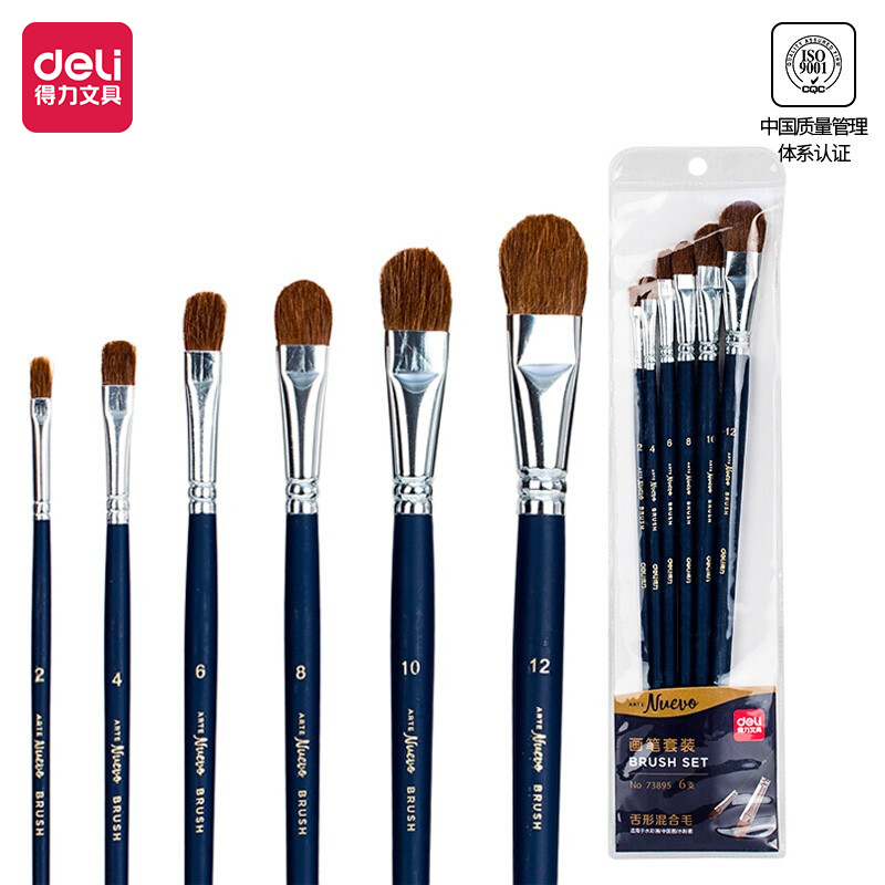 Deli-73895 Brush Set