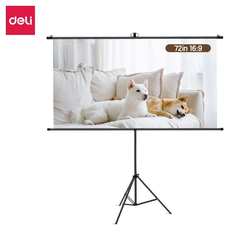 Deli-ES901 Projector Screen