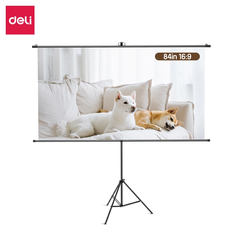 Deli-ES902 Projector Screen